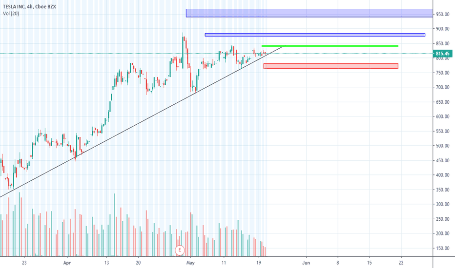 TESLA Analysis.