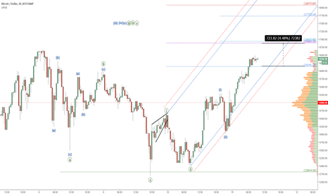 Bitcoin (BTCUSD): How Much Higher?