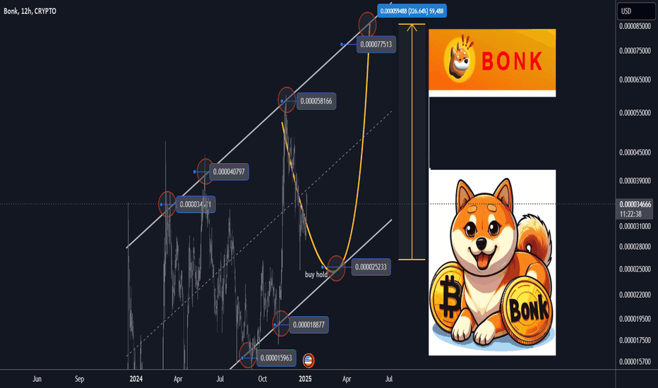BONK Best Level to BUY/HOLD 300% gains