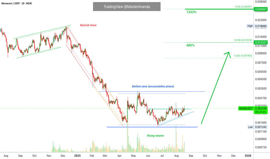 Memecoin Bottom Zone Activated · 1333% Profits Potential