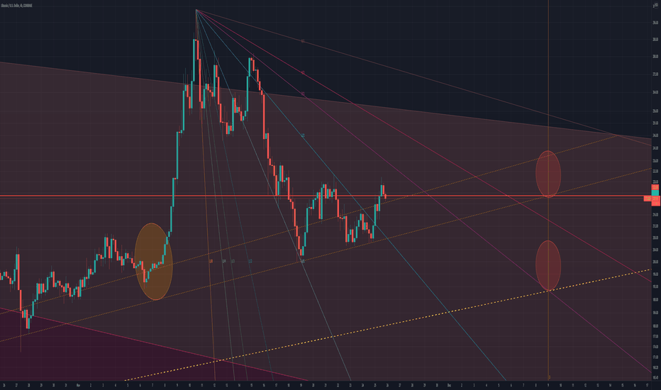 Litecoin Rally to 1400 dollars starts soon