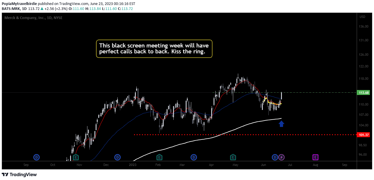 NYSE:MRK Idea Chart Image by PopiaMytravelbirdie