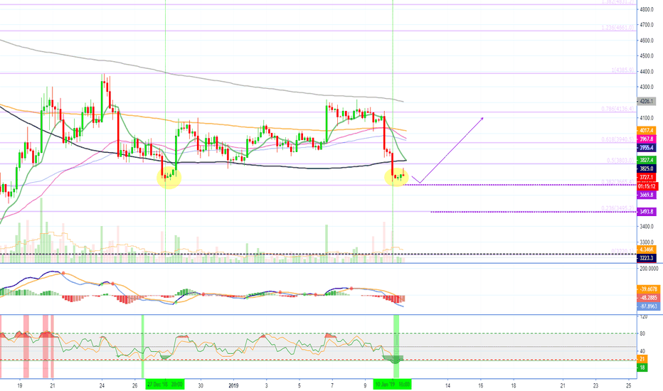 Bitcoin (BTCUSD) Support Found? Price Action (11-Jan)