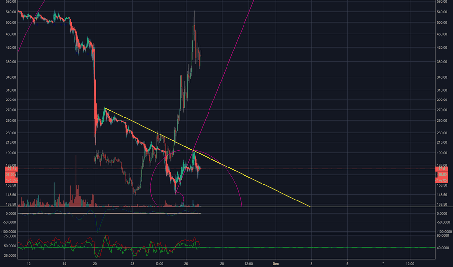 COINBASE/KRAKEN-FRAUD-INVESTORS RALLY