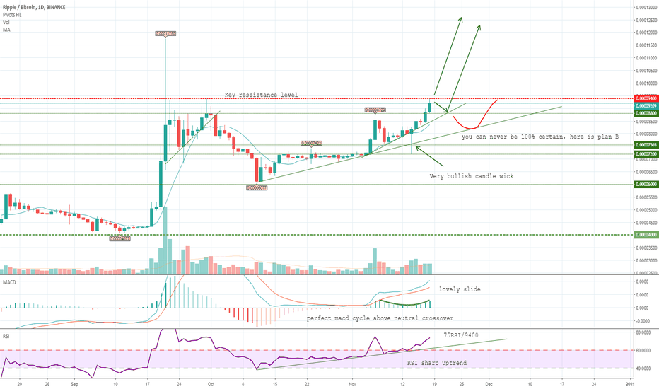 Ripple Will Go For It!