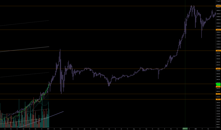 Bitcoin Potentially hitting $100,000 around January 31st 2021