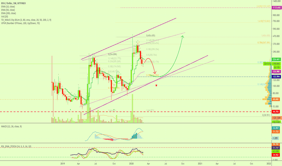 Bitcoin SV vs the Dollar Mapped Long-Term (Support & Resistance)