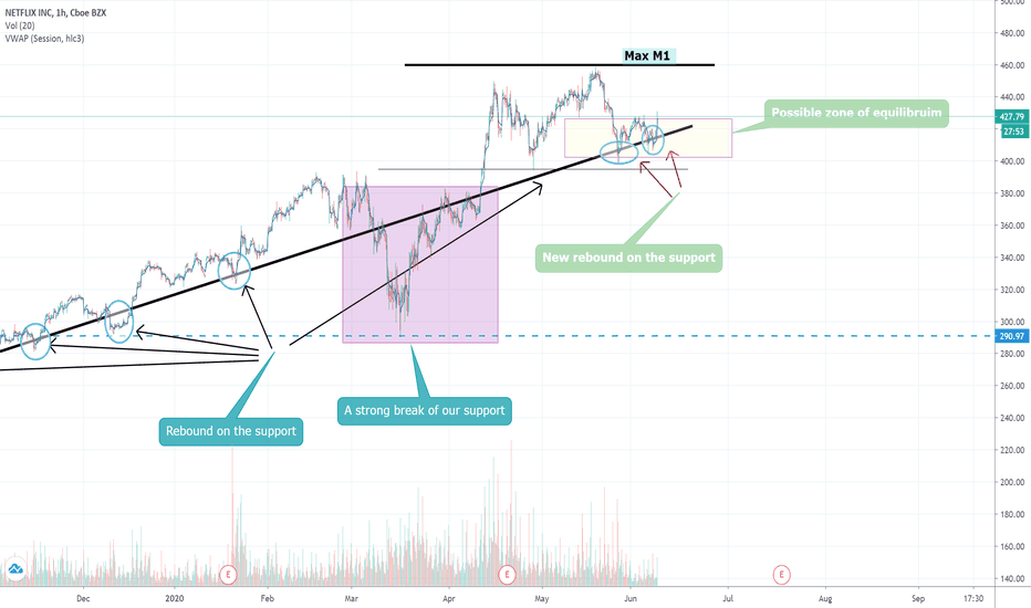 Nteflix Analysis for long term