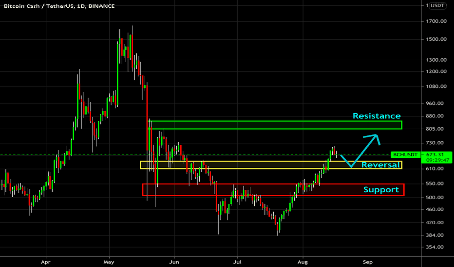 🔥 BCH Bullish Continuation Expected