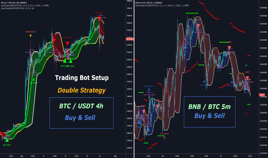 DUAL STRATEGY : Bitcoin and BNB - Live Trading Report