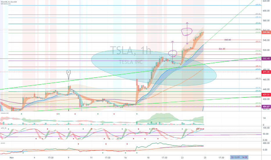TESLA (TSLA) - November 25