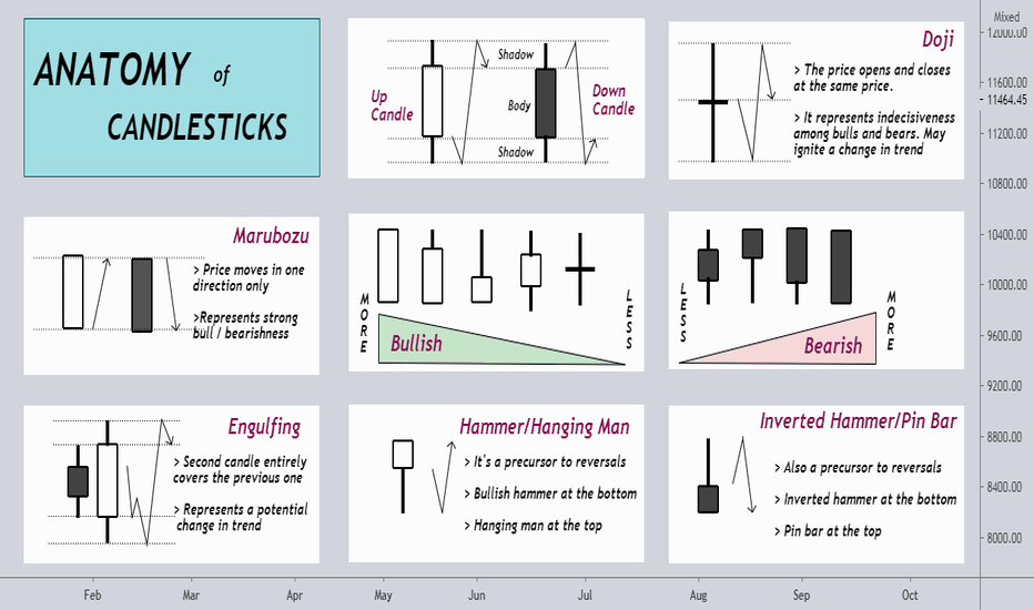 ANATOMY of CANDLESTICKS for ALL MARKETS