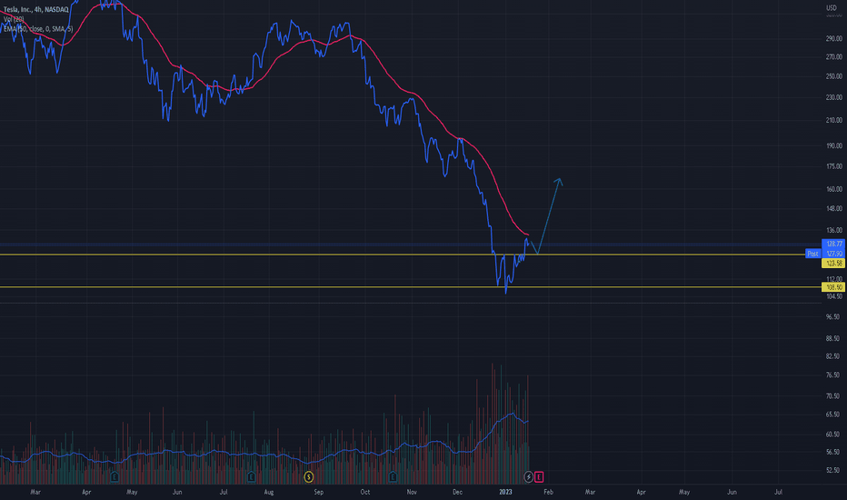 TESLA UPDATES
