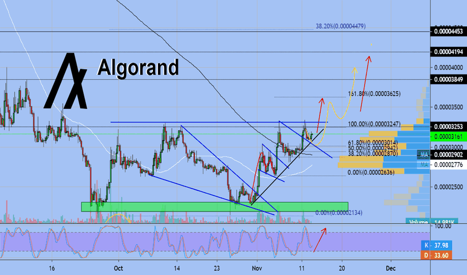 Algorand - signal by EXCAVO