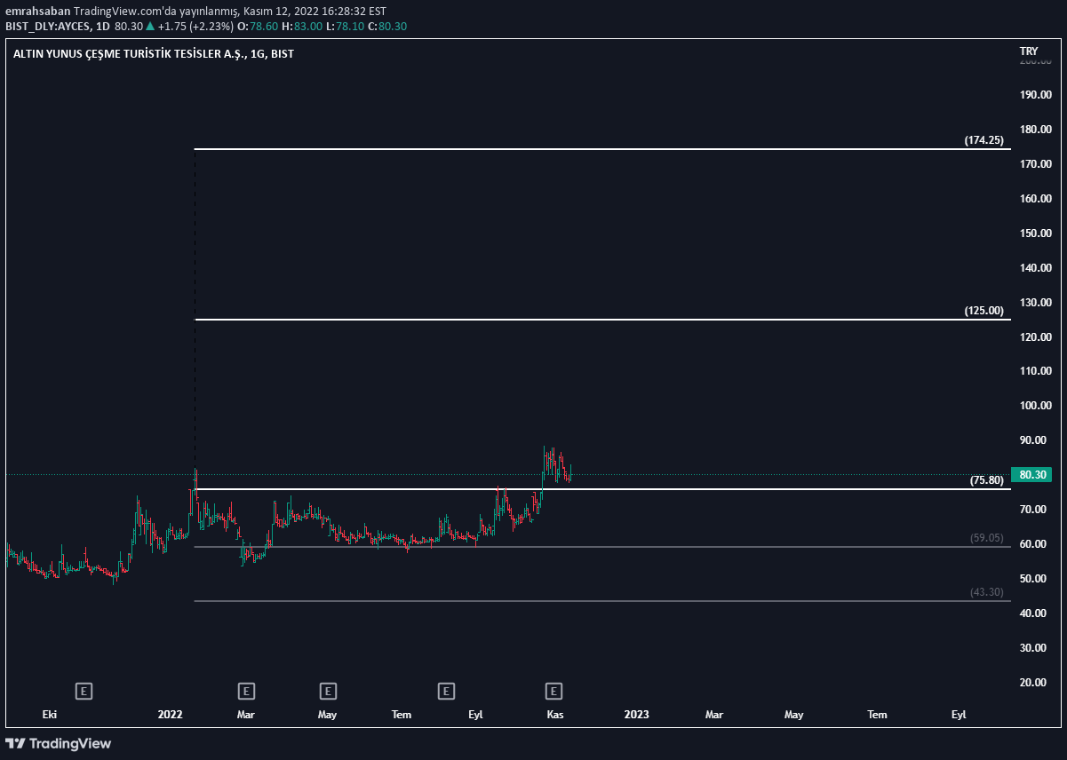 BIST:AYCES Idea Chart Image by spellonice