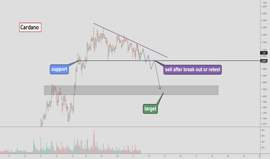 Cardano - time for a correction 😲❓