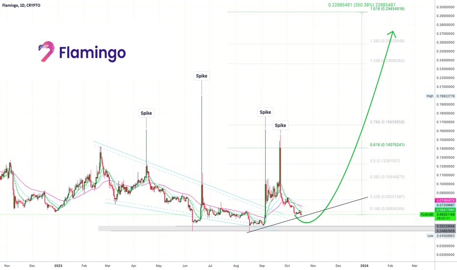 ✴️ Flamingo Ultra-Bullish But Why? (Name Your Altcoin)