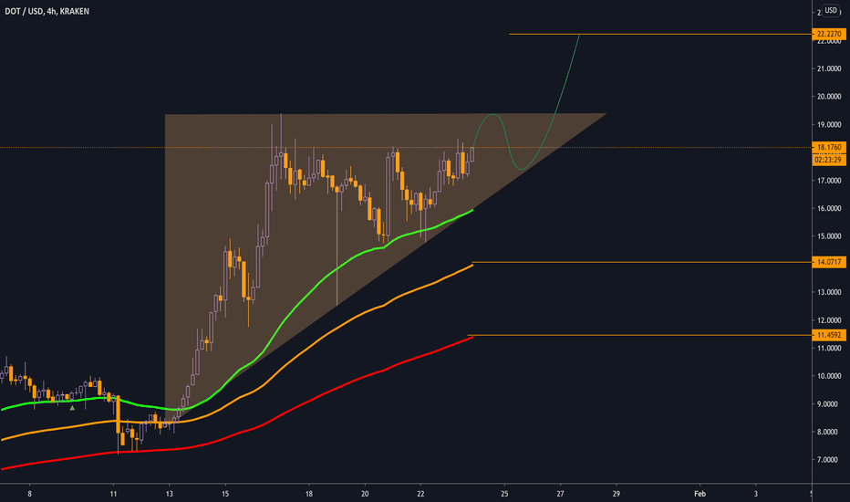 Polkadot 22$