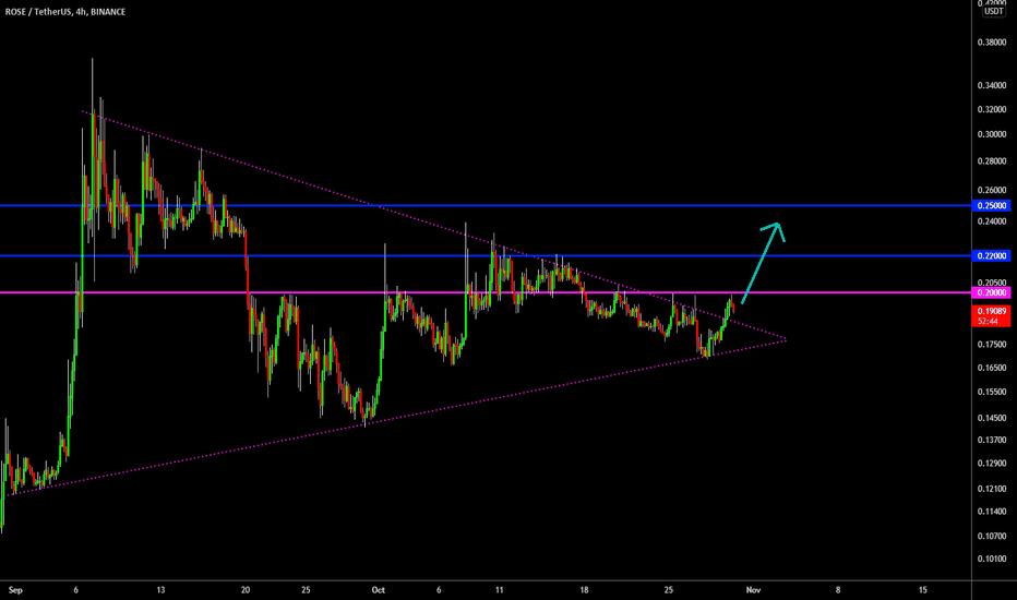 🔥 ROSE Successful Reversal: Pennant Break Out