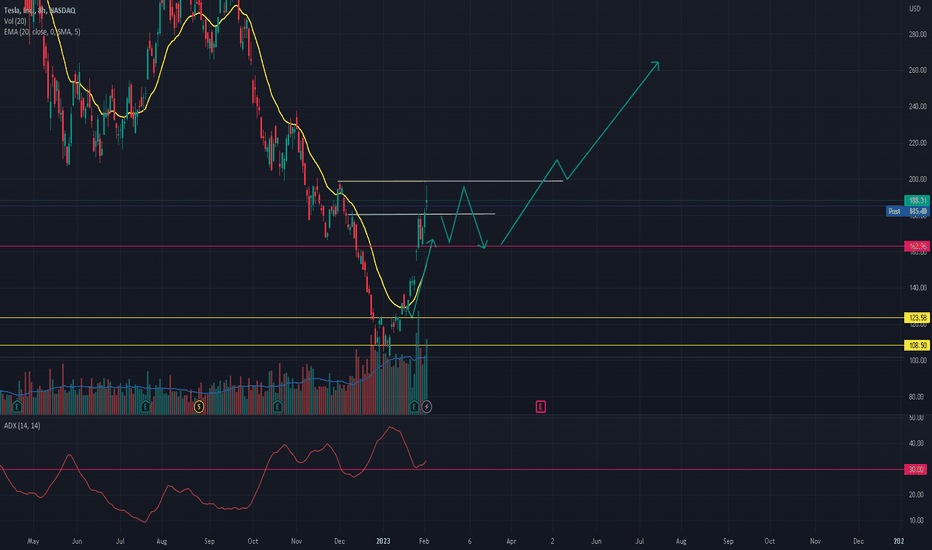 TESLA UPDATES