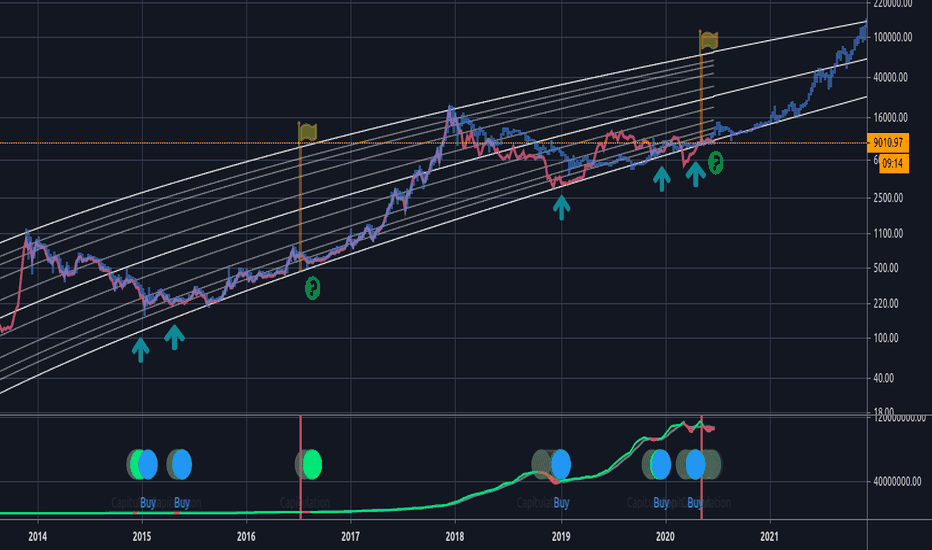 BTCUSD: Logirthmic Curve & Network Growth : $100K in 2021?