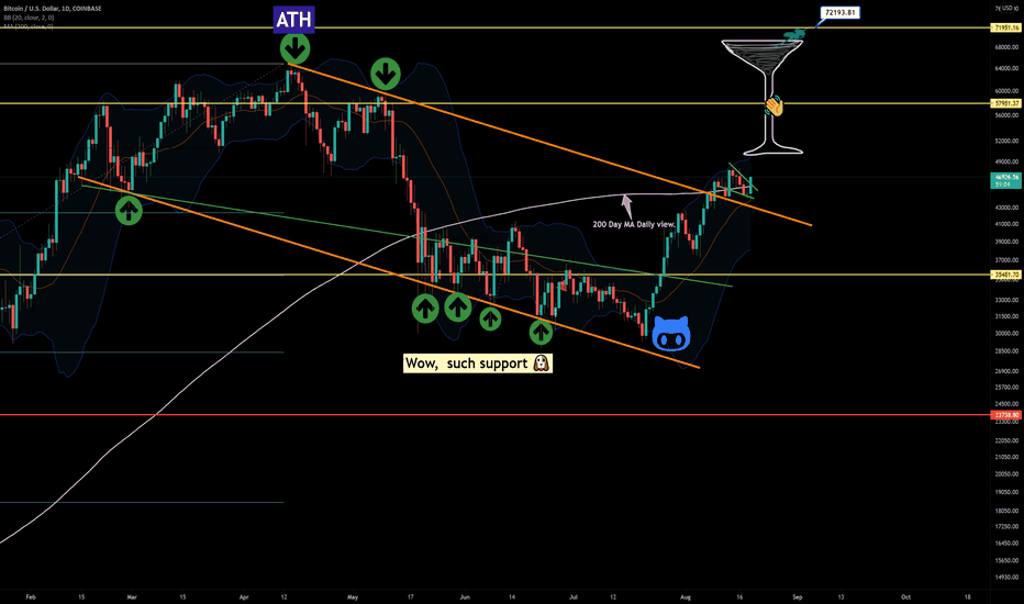 Have your BTC and drink it too (LONG) -Daily View