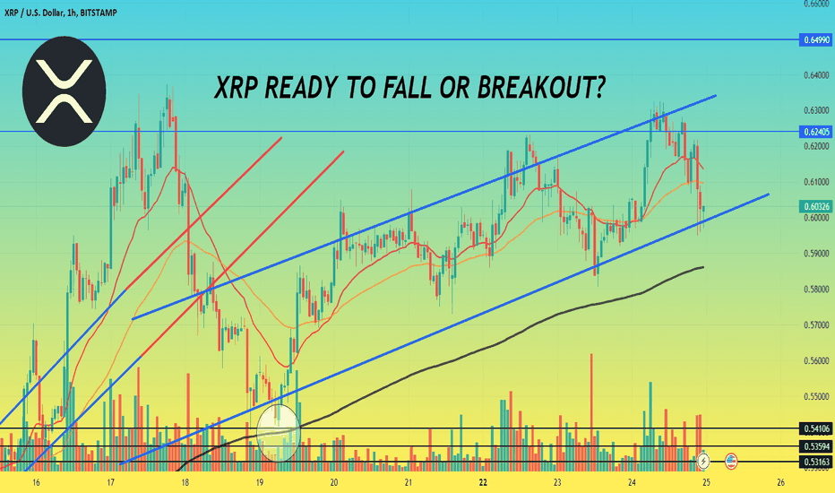 XRP READY TO FALL OR BREAKOUT?