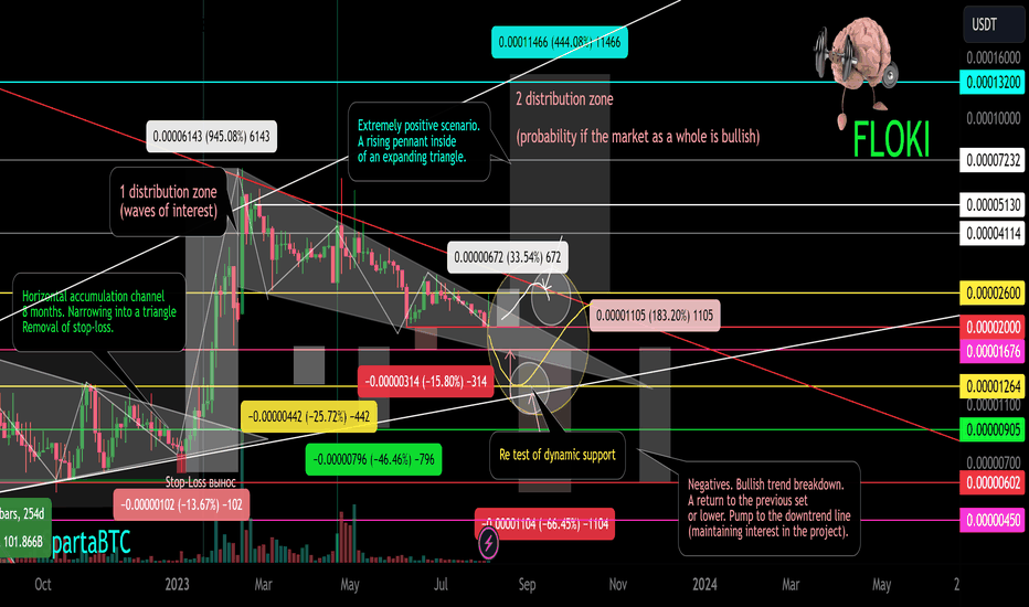 FLOKI/USDT Secondary trend 1 reset zone. Pivot zones 08 2023