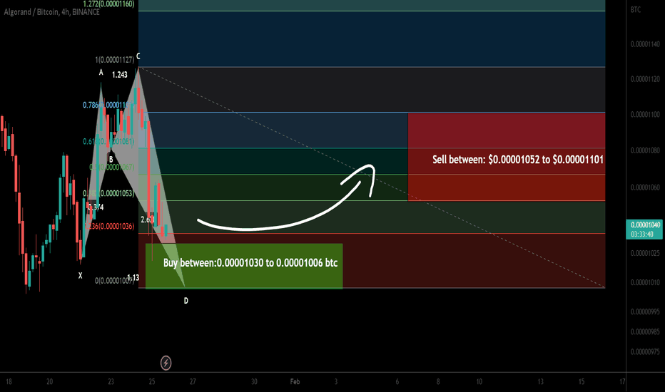 Algorand (ALGO) formed bullish Shark| A good buy opportunity