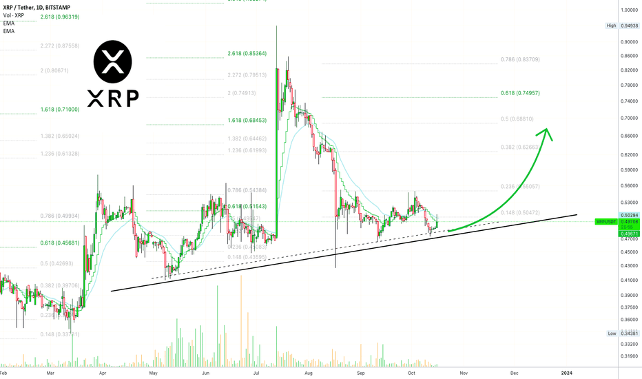 ✴️ XRP | Endless Updates