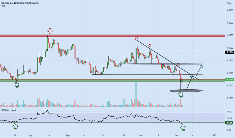 is doge ready to pump ??