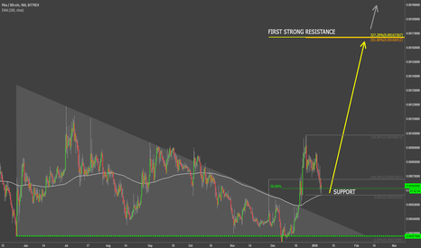 Pivx VS Bitcoin Support Rejection