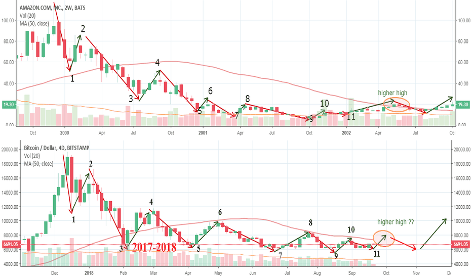 Amazon 1999-2002 is related to Bitcoin 2017-2018