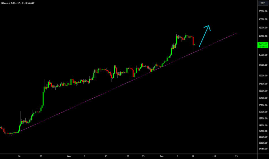 🔥 Bitcoin Liquidation: No Worries Here!
