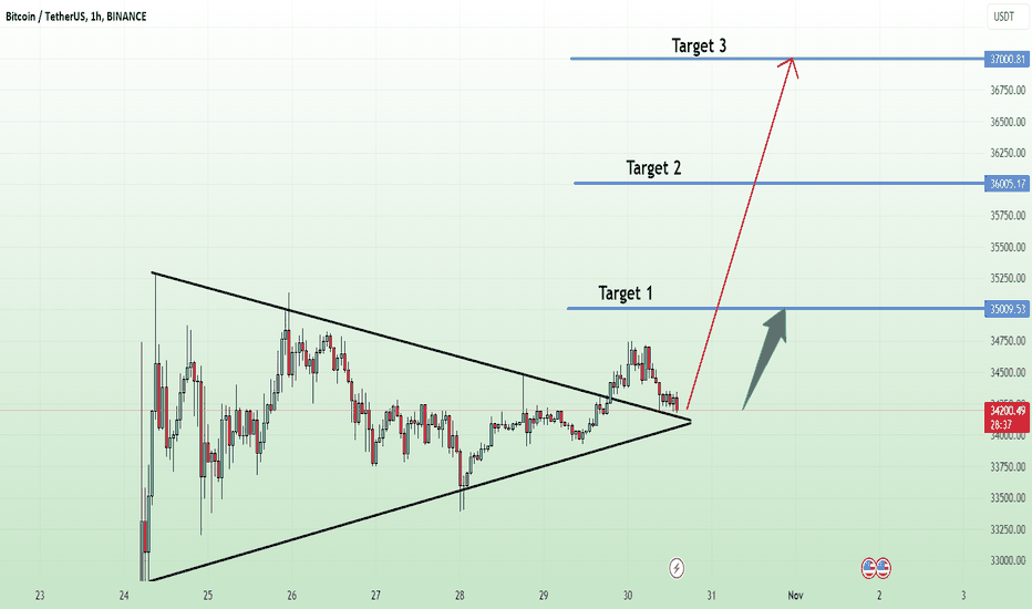 Overview of BTCUSDT, price increased sharply