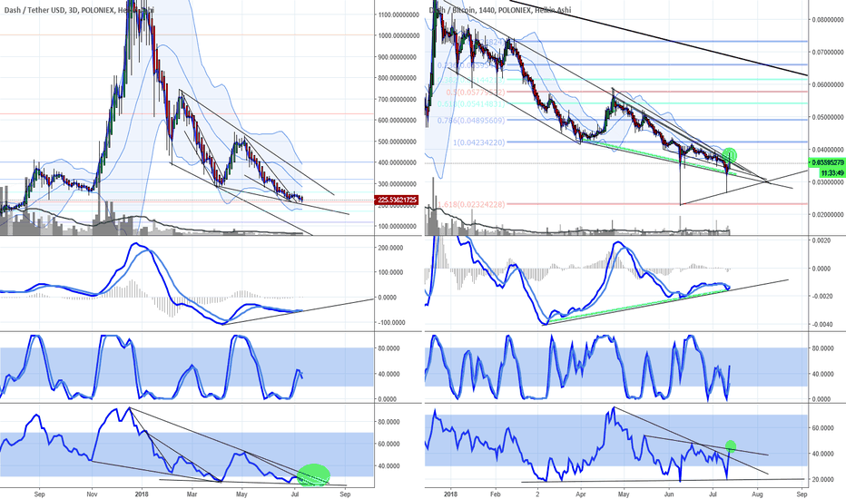 DASH reversal?