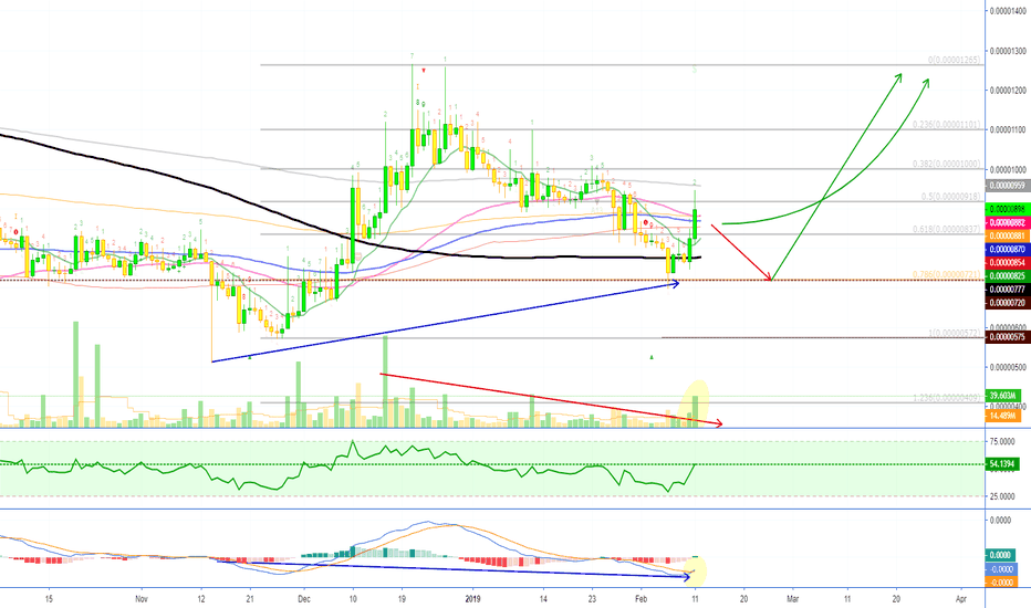 Enjin Coin Trade Signal (ENJBTC)(38% PP)