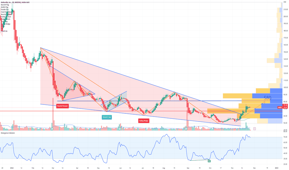 AMBA Ambarella, Inc. Options Ahead Of Earnings