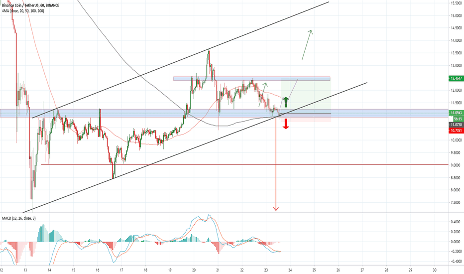 BNBUSDT at Support and Trend Support area