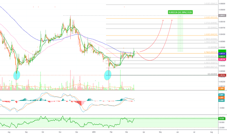 Bitcoin Gold Double Bottom (BTGBTC)(50%)