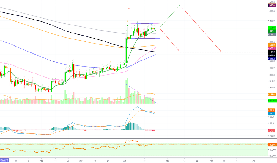 Bitcoin Still Trading Above EMA300, What Happens Next?