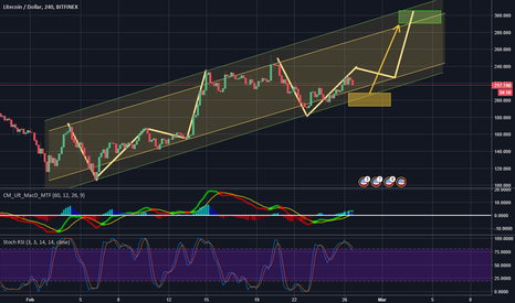 LTC TO 300 USD IN 7-10 DAYS!!  look at the past