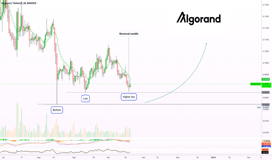 ✴️ Algorand Early Reversal Signals (Name Your Altcoin)