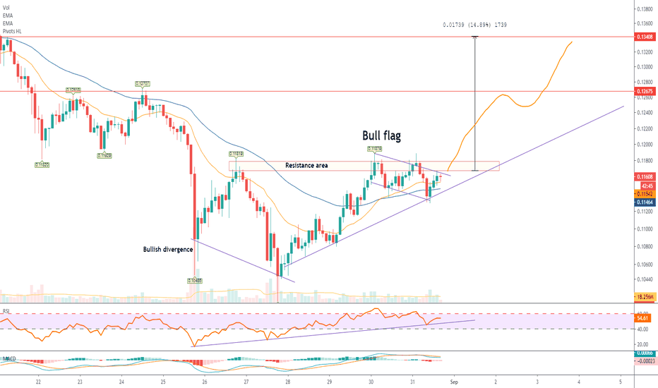 Cardano spotted in a Bull Flag!