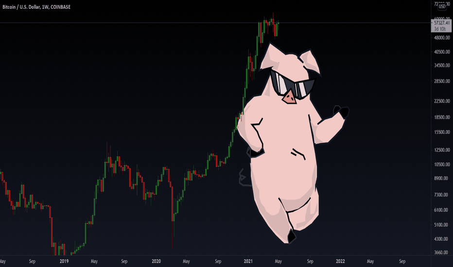 BTC as happy as can be, rolling around here