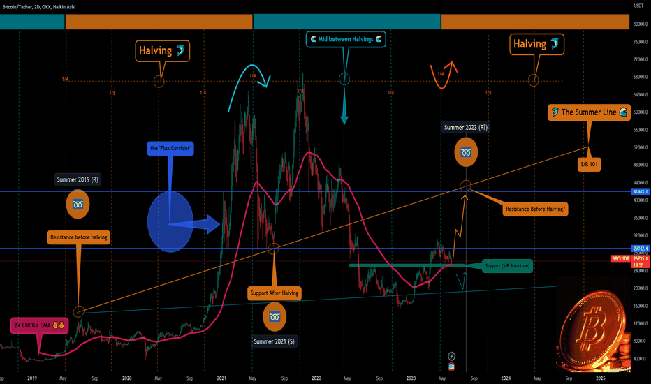 Is Crypto Winter coming to an end? 🐬💰💰