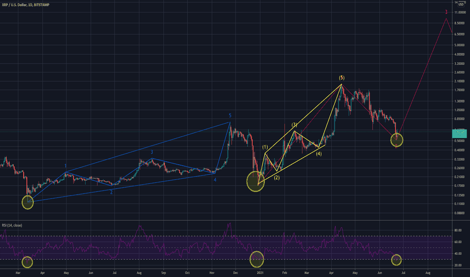 XRP is right on track to make a new ATH this year!