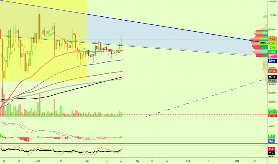 Bullish Bitcoin (No More Bearish Signals...)