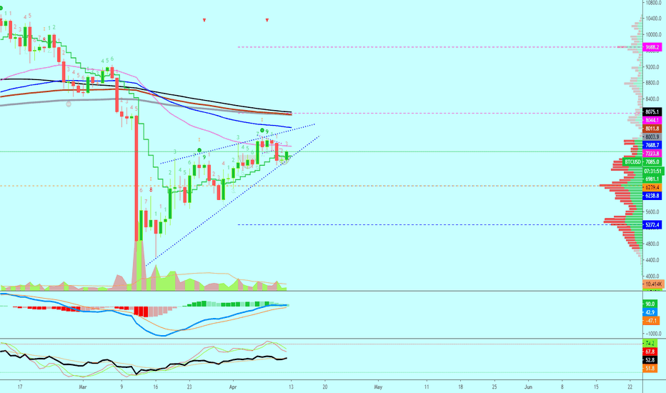Bitcoin Going To $8000+ Next Or Higher? See Inside