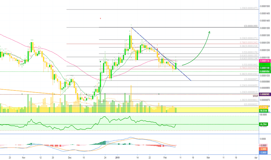 Cardano Turns to the Bulls [ADABTC](52% PP)